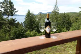 Elevated island home with sweeping water views, surrounded by protected forest and accessed by Blakely’s private marina and airstrip