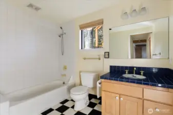 Lower Level Full Bath