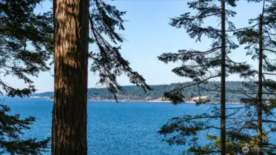 Enjoy the Saratoga Passage views