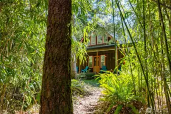 Trials throughout property