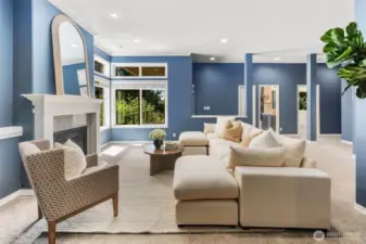 Lower level family room