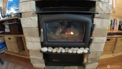 Gas fireplace