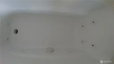 Main bath jetted tub