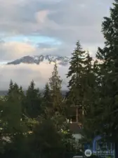 Mountain View from Backyard