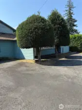 Ample parking in the front of the home