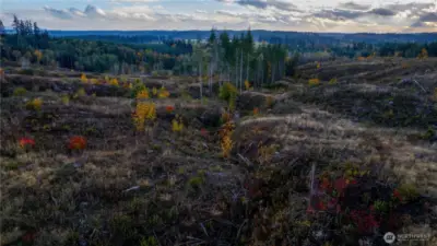 A breath-taking view of the Skookumchuck River Valley to the South