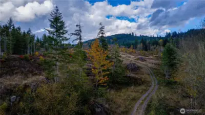 One of the roads on the property