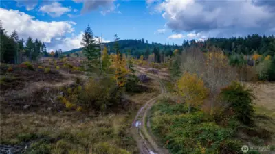 Looking up to the North (you could make a puzzle of this photo)