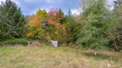 An outbuilding on the property was used for animals