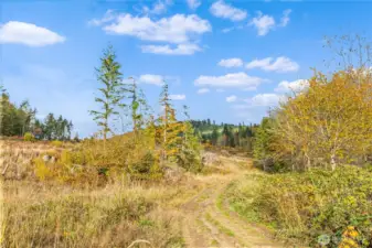 Another road on the property driving north