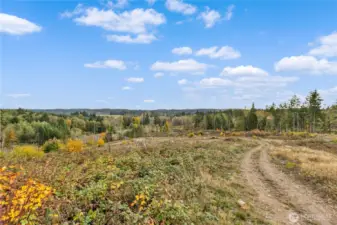 Many options for building sites