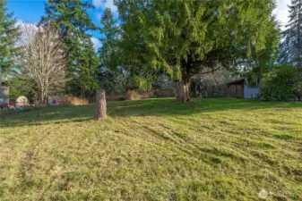 Expansive open yard highlights the nearly one-acre setting with room for play, gardens, animals, or future outdoor projects.