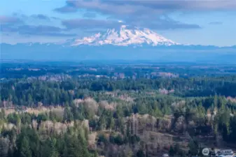 Overlooking the Rainier area, this view highlights a community prized for its peaceful atmosphere and outdoor lifestyle.