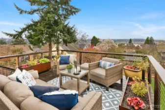 Beautiful views of the Olympic Mountains & Ship Canal from the spacious deck (Mountains are stunning on a clear day!)
