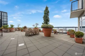 Check out the spectacular rooftop deck complete with seating and BBQ!