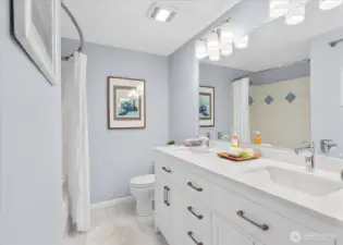New dual vanity