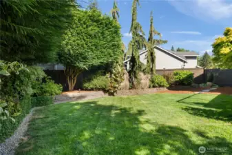 Spacious grassy area, perfect for a playset or outdoor games.