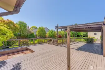 Fire pit, too
