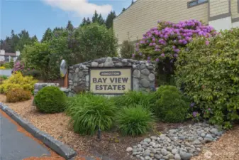 Beautiful spring trees and flowers adorn the entrance of the complex