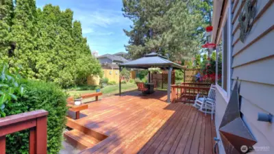Step out onto a beautiful back porch surrounded by lush greenery, offering ample space- perfect for hosting events and enjoying the outdoors