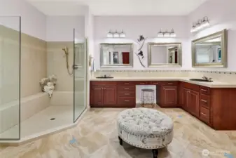 Primary spa-like bathroom
