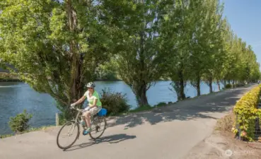 Miles of movement, moments from home. With the Burke-Gilman, Ship Canal Trail, and Lake Union Loop all nearby, Harold’s Place is perfectly positioned for runners, riders, paddlers, and anyone drawn to the rhythm of the water’s edge.