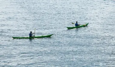 From South Lake Union to the Fremont Cut, these glimmering corridors offer more than beauty—they’re part of daily life. Just down the hill from Harold’s Place, kayakers glide past Westlake’s houseboats and shipyards, tracing the ever-moving edge of the city.