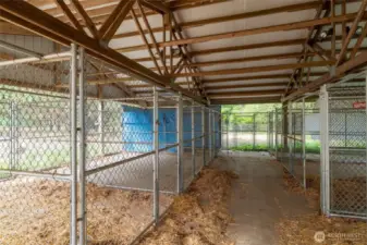 Livestock? Dog kennels?