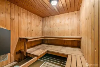 Building sauna, perfect for Seattle winters.