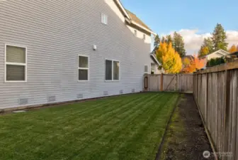 Plenty of space for all the kids or dogs