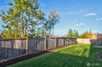 Well maintained yard