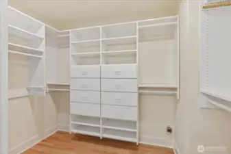 A large walk-in closet is located in the primary bath, featuring plenty of custom organization.