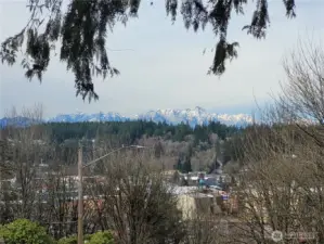 Seller provided picture of view.