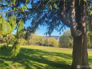 Seller provided picture of view.