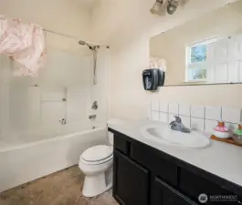 Lower level bathroom