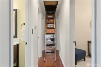 Attic storage with easy-to-lower built-in ladder.