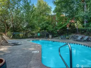 Community Outdoor Pool