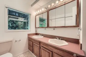 Bathroom Main Level