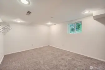 Lower Level Family Room