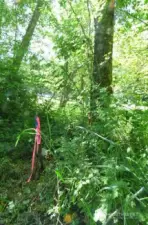 SE corner marker