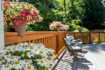 New Railing on Expansive Deck