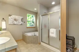 Primary ensuite with soaking tub, shower and separate commode room.