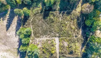 This aerial view is of the back of the 10 acres. You can see the horse trail worn in. This part of the acreage is elevated at a higher level than the house and front acreage.