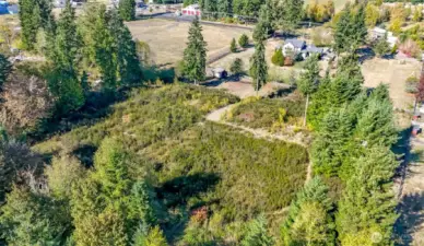 The bushes and trees are part of the southern area of the 10 acres.
