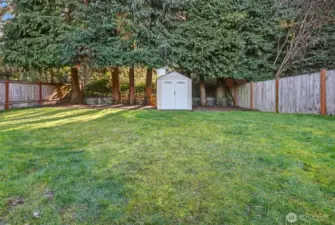 Shed in the backyard for all of your gardening tools.