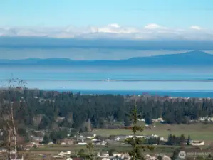 Over looking the town of Sequim