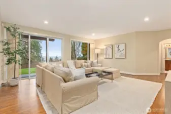 Lower level great room