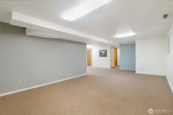 Basement Rec Room