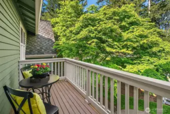 Private deck off the primary bathroom.