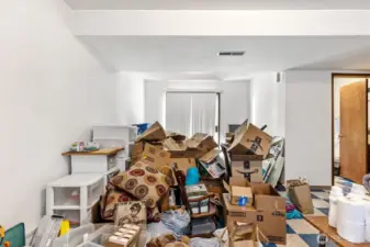 Lower-Level Family Room.